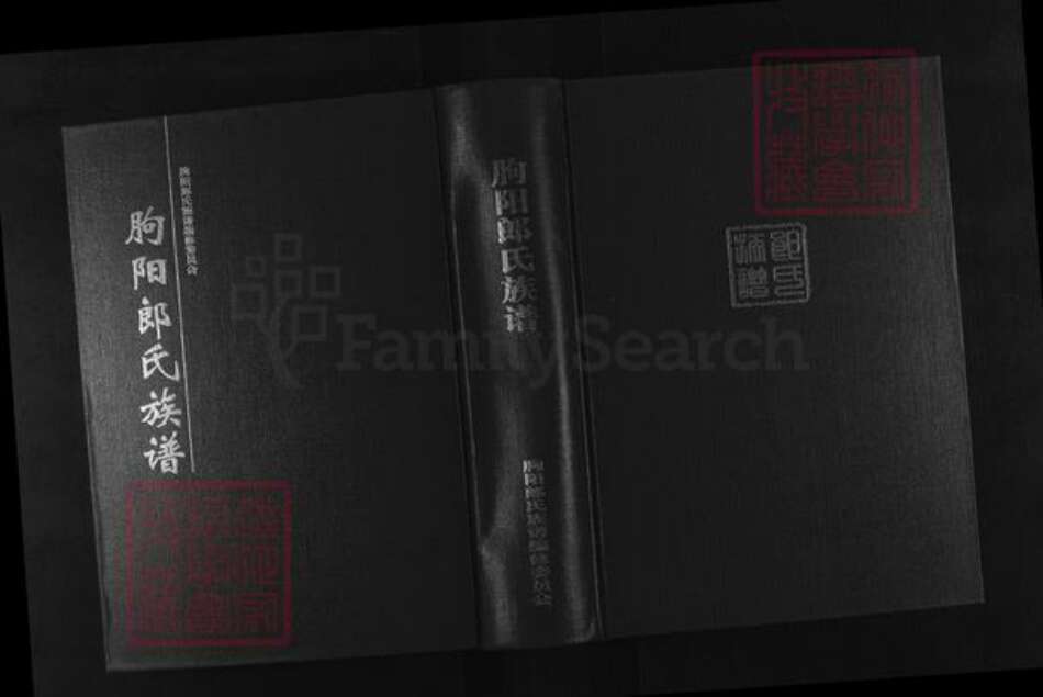 山东省潍坊市临朐县郎氏族谱-朐阳郎氏族谱.pdf电子版缩略图