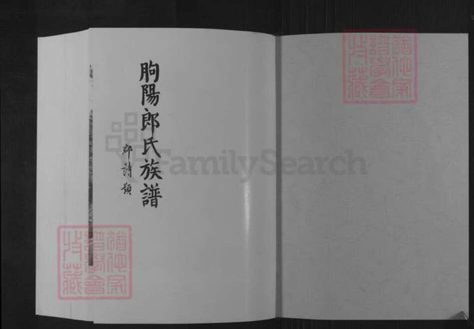 山东省潍坊市临朐县郎氏族谱-朐阳郎氏族谱.pdf电子版预览图1