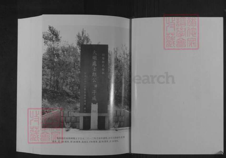 山东省潍坊市临朐县郎氏族谱-朐阳郎氏族谱.pdf电子版预览图2