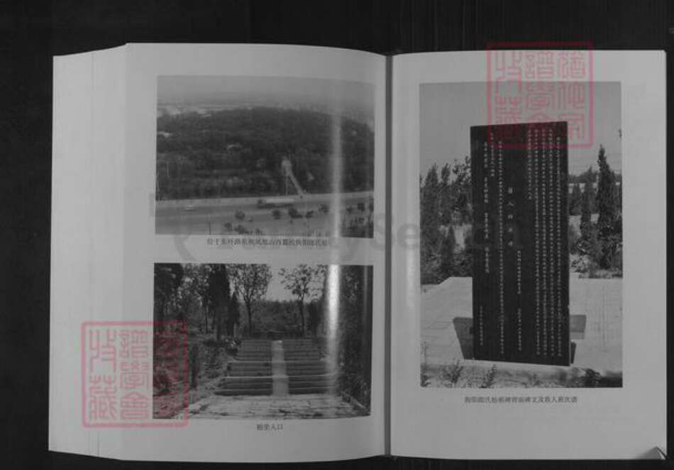 山东省潍坊市临朐县郎氏族谱-朐阳郎氏族谱.pdf电子版预览图3