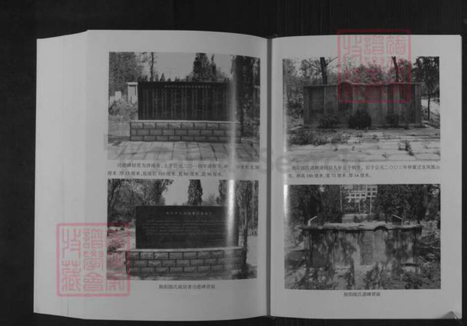 山东省潍坊市临朐县郎氏族谱-朐阳郎氏族谱.pdf电子版预览图4