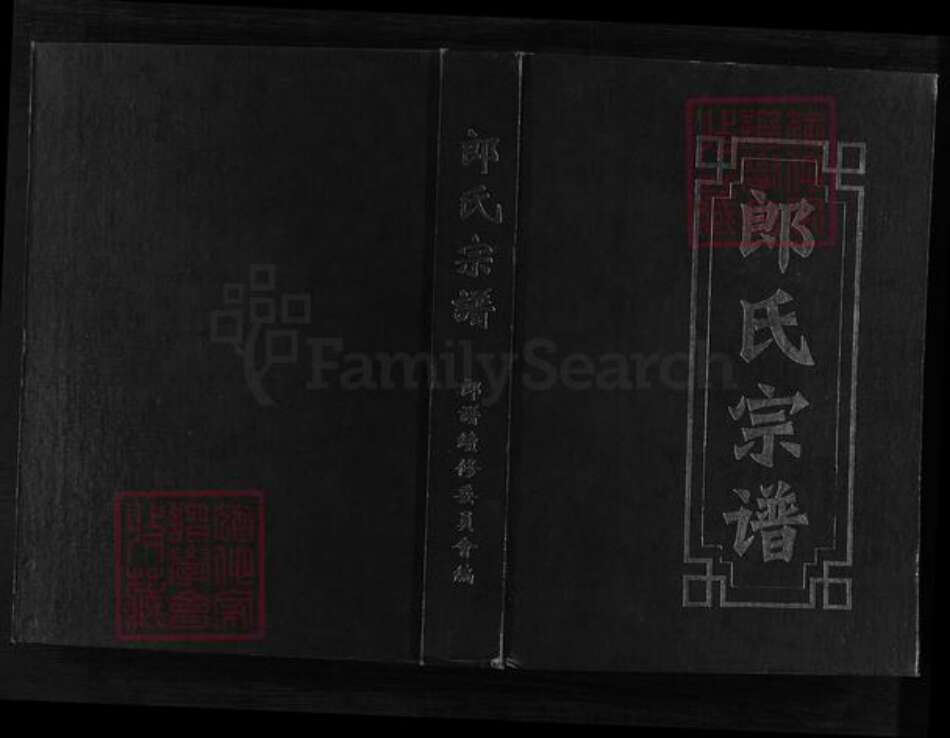 浙江省金华市永康市郎氏族谱-郎氏宗谱 [不分卷].pdf电子版缩略图