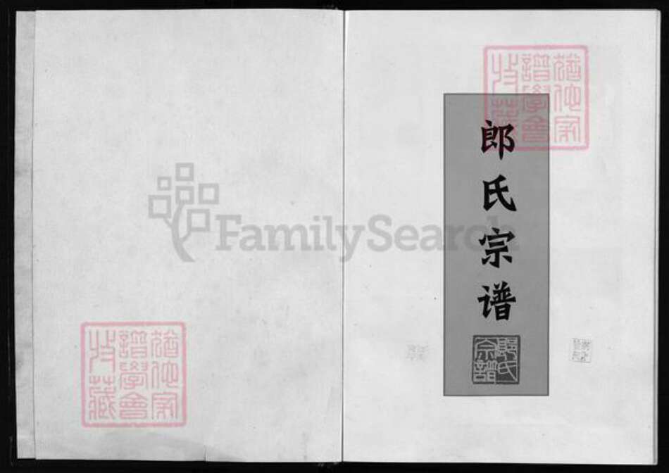 浙江省金华市永康市郎氏族谱-郎氏宗谱 [不分卷].pdf电子版预览图1