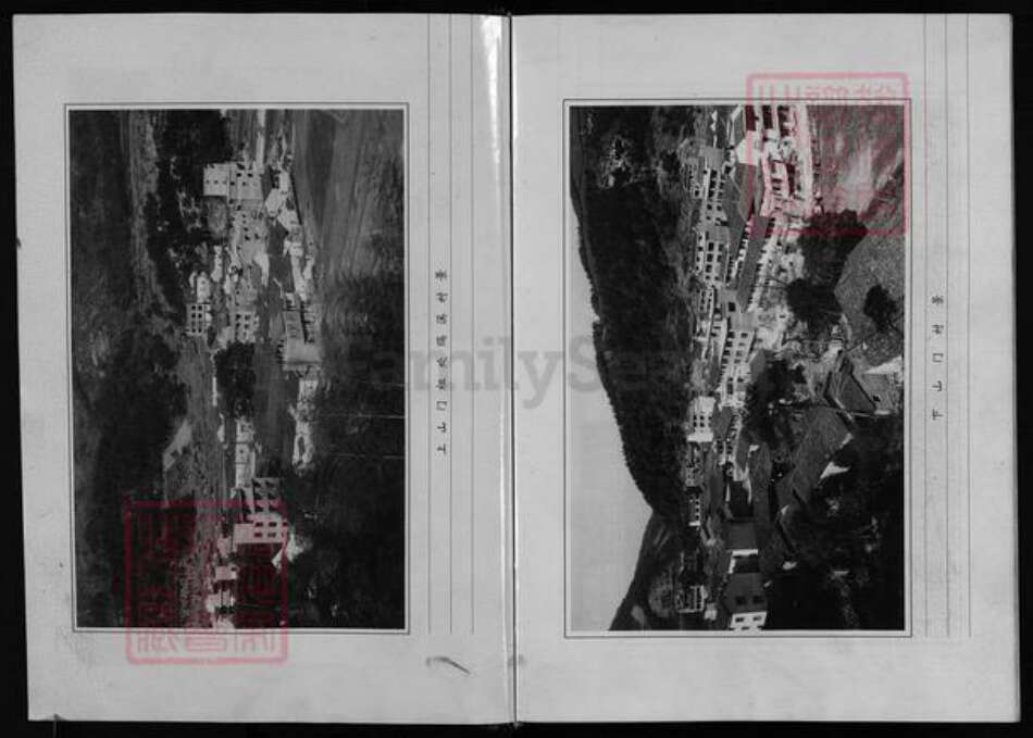 浙江省金华市永康市郎氏族谱-郎氏宗谱 [不分卷].pdf电子版预览图3