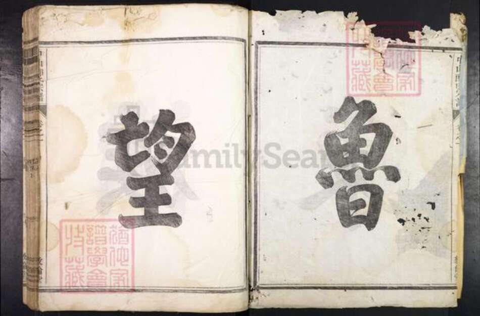 浙江省金华市兰溪市郎氏敦伦堂族谱-中山郎氏宗谱.pdf电子版预览图2