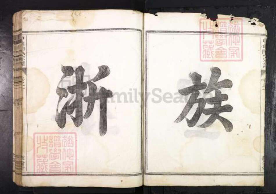 浙江省金华市兰溪市郎氏敦伦堂族谱-中山郎氏宗谱.pdf电子版预览图3