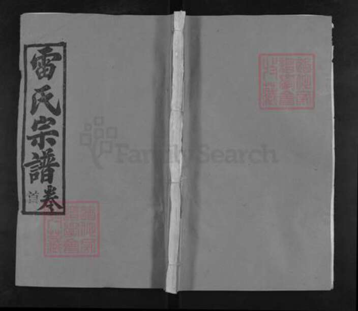 湖北省武汉市新洲区雷氏研易堂族谱-雷氏宗谱.pdf电子版缩略图