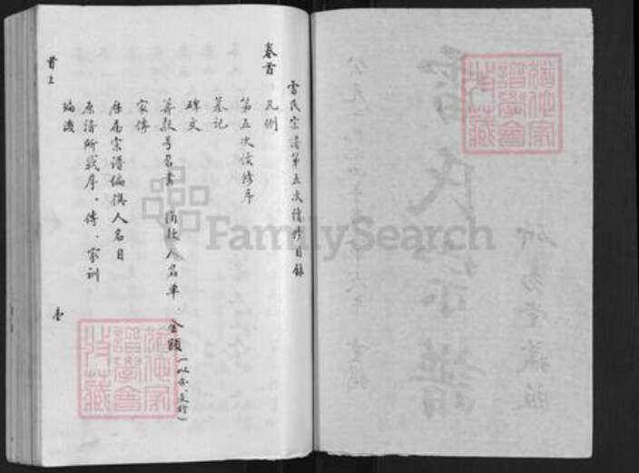 湖北省武汉市新洲区雷氏研易堂族谱-雷氏宗谱.pdf电子版预览图2