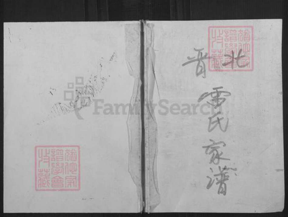 山西省朔州市朔城区雷氏族谱-雷氏家谱.pdf电子版缩略图