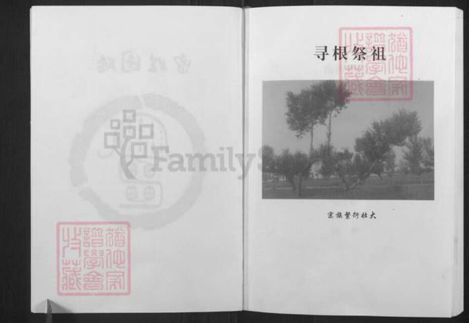 山西省朔州市朔城区雷氏族谱-雷氏家谱.pdf电子版预览图3