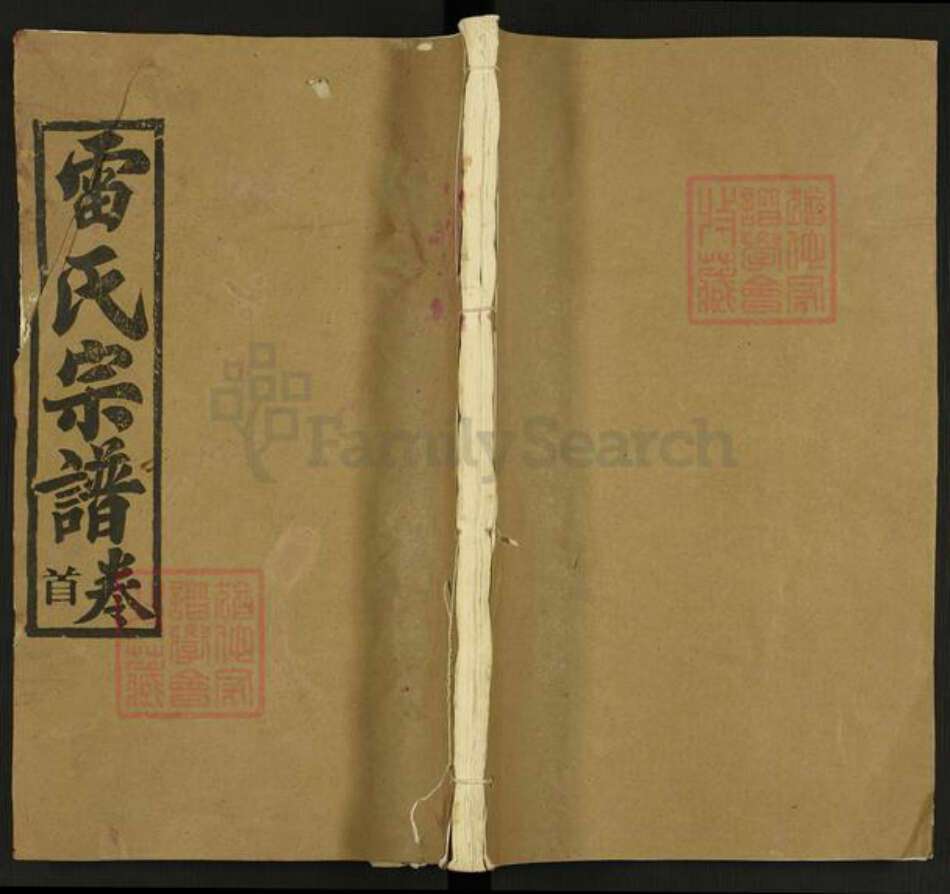 湖北省武汉市黄陂区李家集街道雷氏研易堂族谱-雷氏宗谱.pdf电子版缩略图