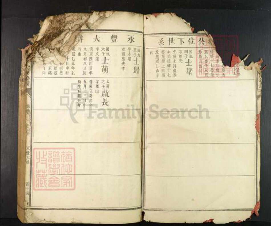 江西省赣州市兴国县崇贤乡雷氏族谱-𫎬兴源头山雷氏六修族谱.pdf电子版预览图2