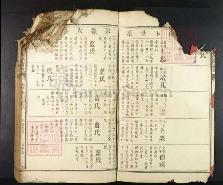 江西省赣州市兴国县崇贤乡雷氏族谱-𫎬兴源头山雷氏六修族谱.pdf电子版预览图3