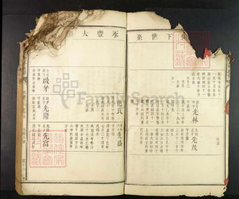 江西省赣州市兴国县崇贤乡雷氏族谱-𫎬兴源头山雷氏六修族谱.pdf电子版预览图4