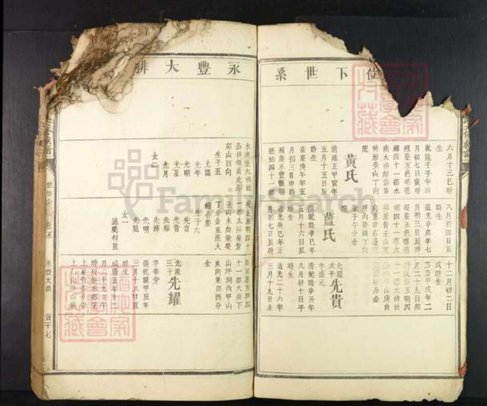 江西省赣州市兴国县崇贤乡雷氏族谱-𫎬兴源头山雷氏六修族谱.pdf电子版预览图5