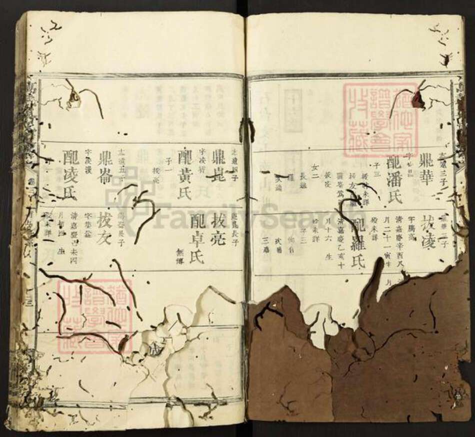 江西省宜春市万载县黎氏京兆堂族谱-万载黎氏族谱.pdf电子版预览图2