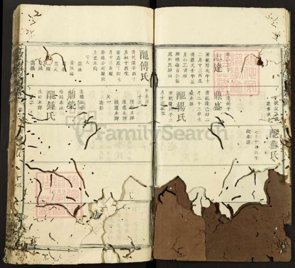 江西省宜春市万载县黎氏京兆堂族谱-万载黎氏族谱.pdf电子版预览图3