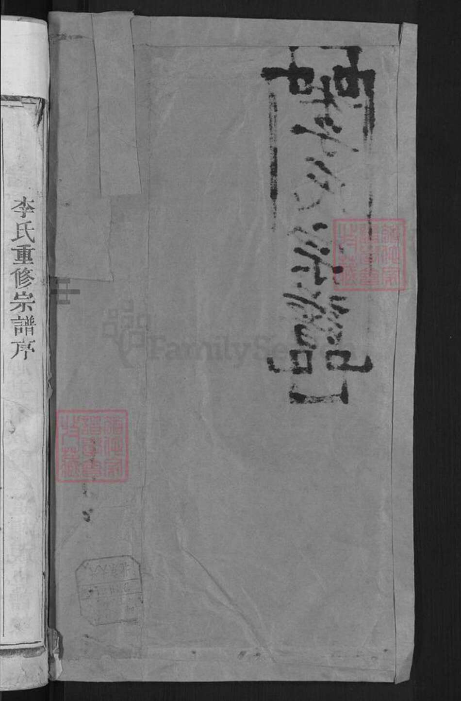 福建省龙岩市上杭县稔田镇李氏族谱-陇西李氏宗谱.pdf电子版预览图2