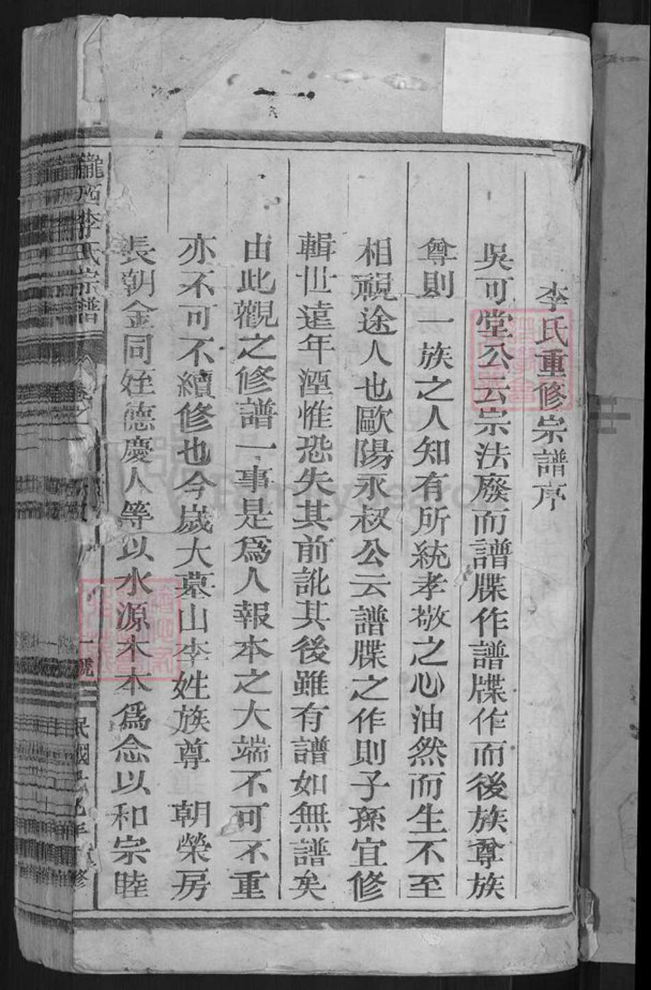 福建省龙岩市上杭县稔田镇李氏族谱-陇西李氏宗谱.pdf电子版预览图3