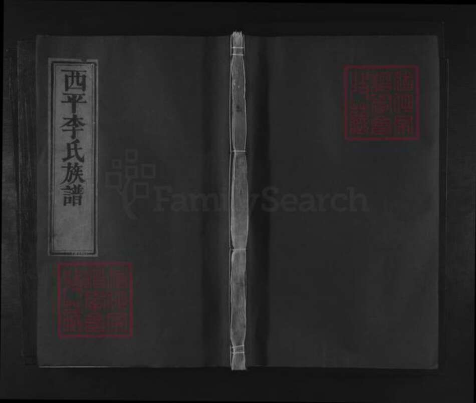 江西省宜春市李氏族谱-西平李氏族谱 [不分卷].pdf电子版缩略图