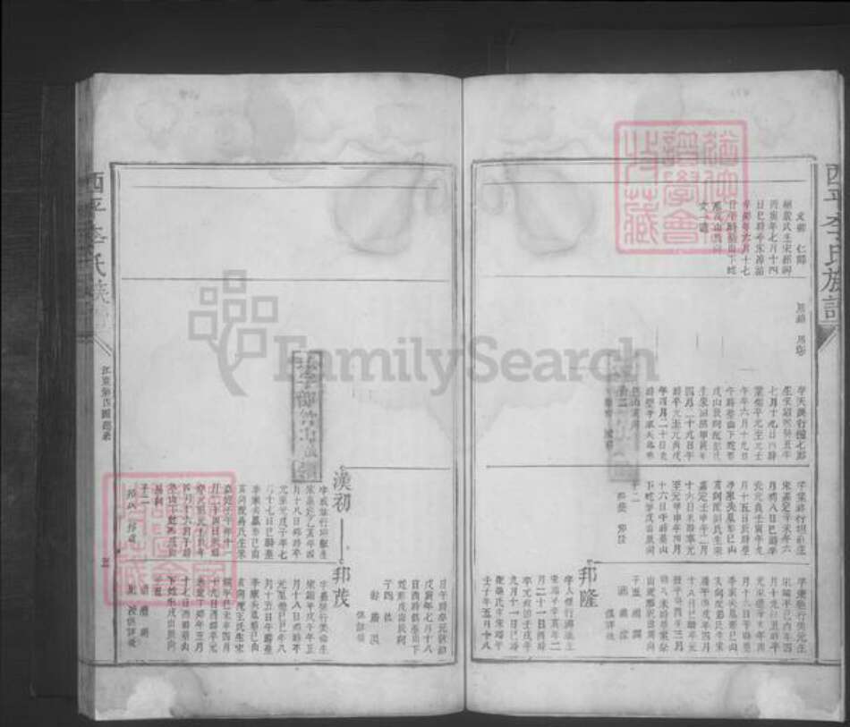 江西省宜春市李氏族谱-西平李氏族谱 [不分卷].pdf电子版预览图5