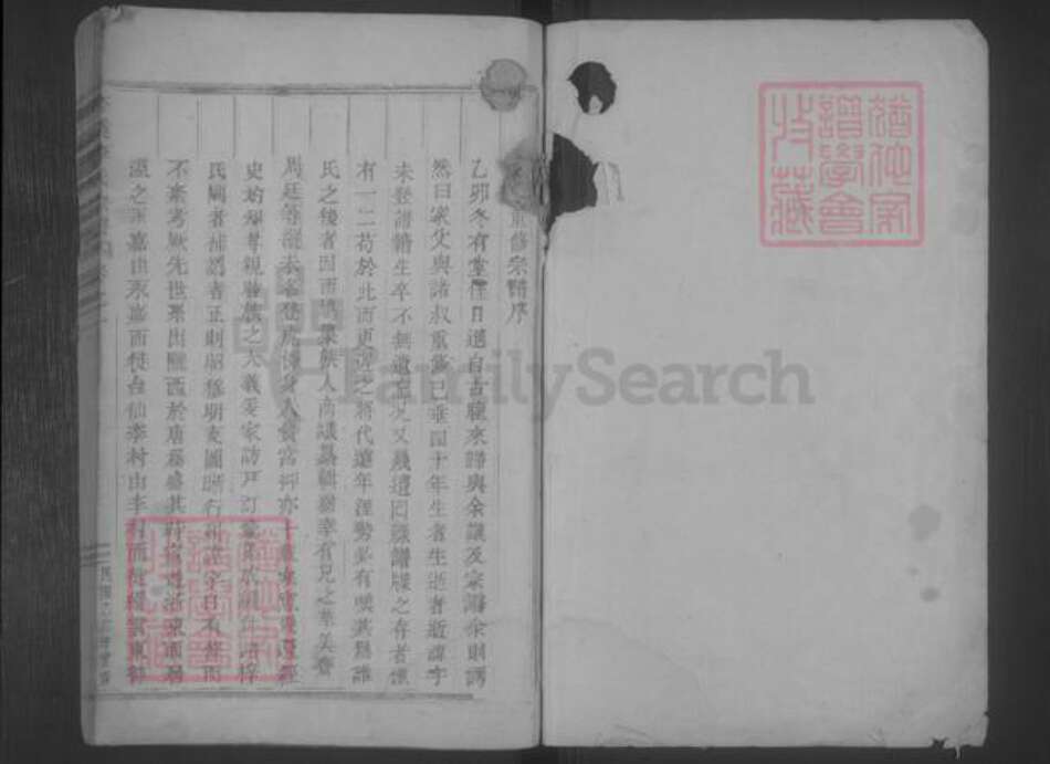 浙江省丽水市缙云县李氏族谱-杏溪李氏宗谱 [5卷].pdf电子版预览图1