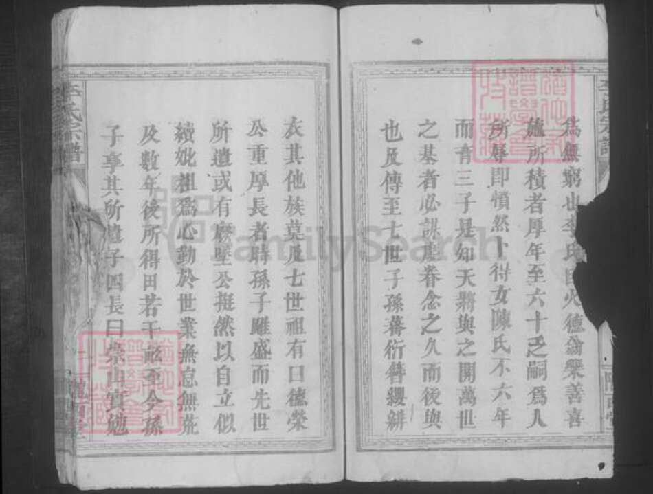 江西省九江市修水县李氏族谱-李氏宗谱 [不分卷].pdf电子版预览图2