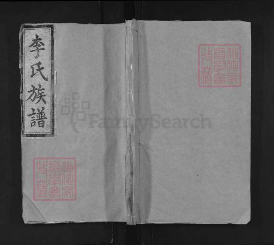 湖南省常德市汉寿县李氏陇西堂族谱-李氏族谱.pdf电子版缩略图