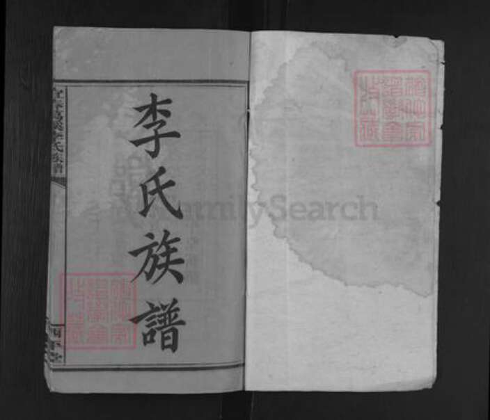 江西省上饶市弋阳县葛溪乡李氏西平堂族谱-宜春葛溪李氏族谱.pdf电子版预览图1