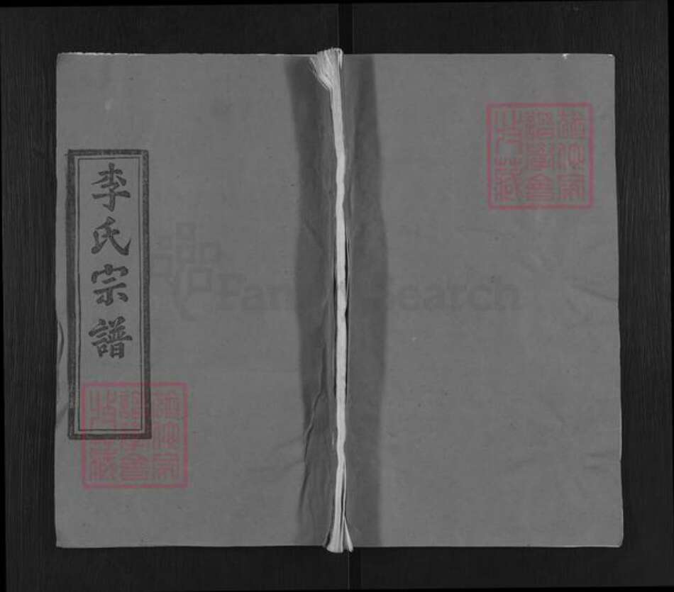 湖北省黄冈市武穴市李氏青莲堂族谱-李氏宗谱.pdf电子版缩略图