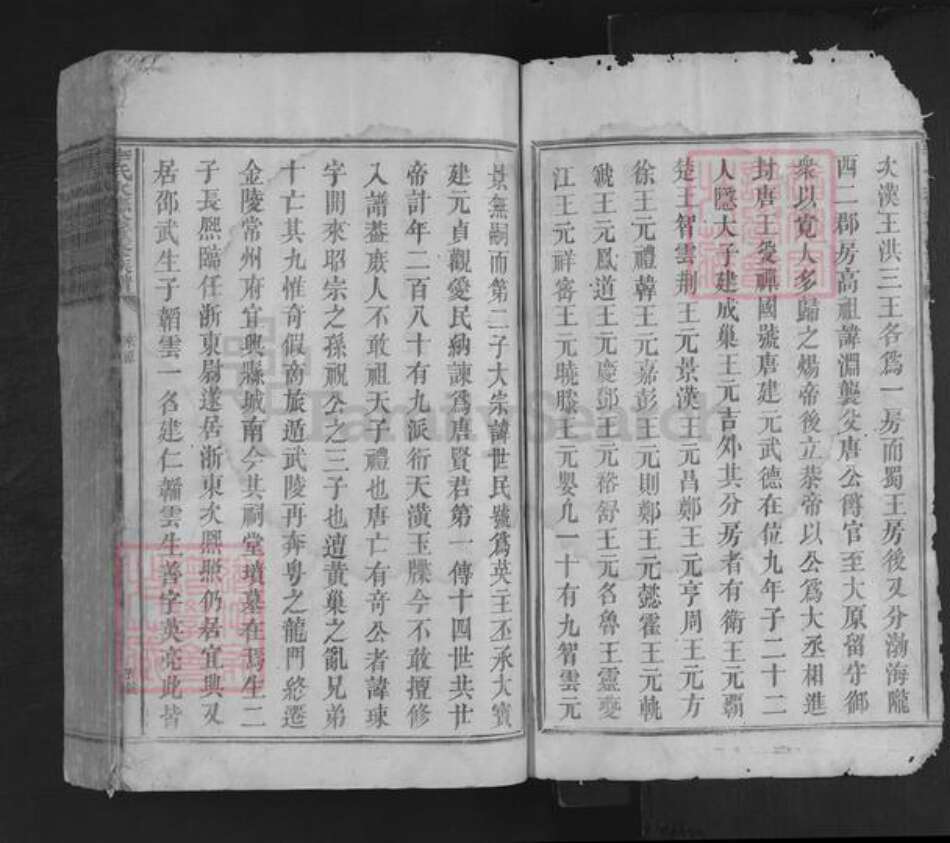 福建省龙岩市上杭县稔田镇李氏族谱-李氏火德公重修族谱.pdf电子版预览图3