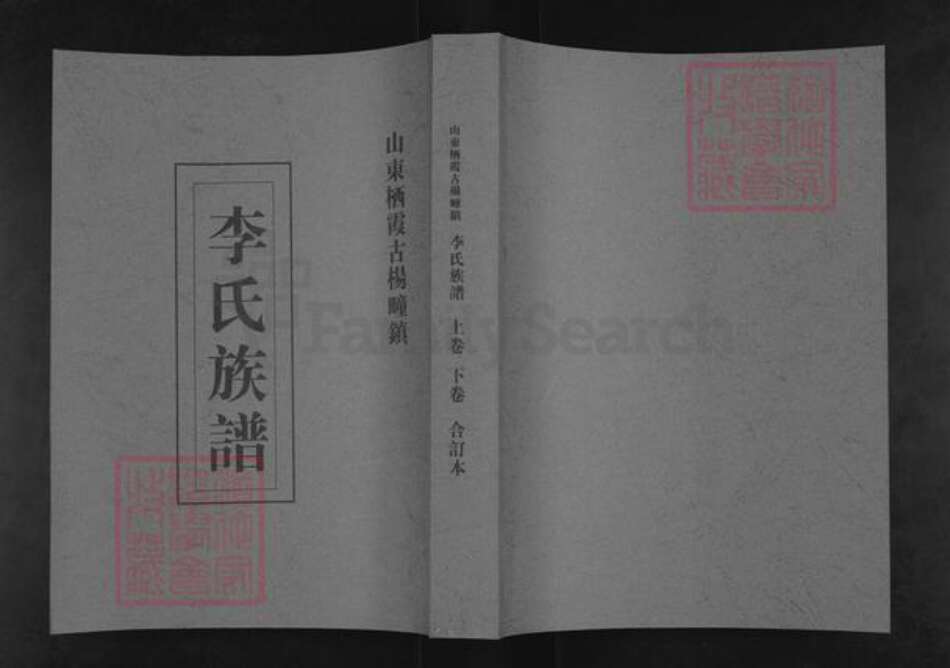 山东省烟台市栖霞市杨础镇李氏族谱-李氏族谱.pdf电子版缩略图