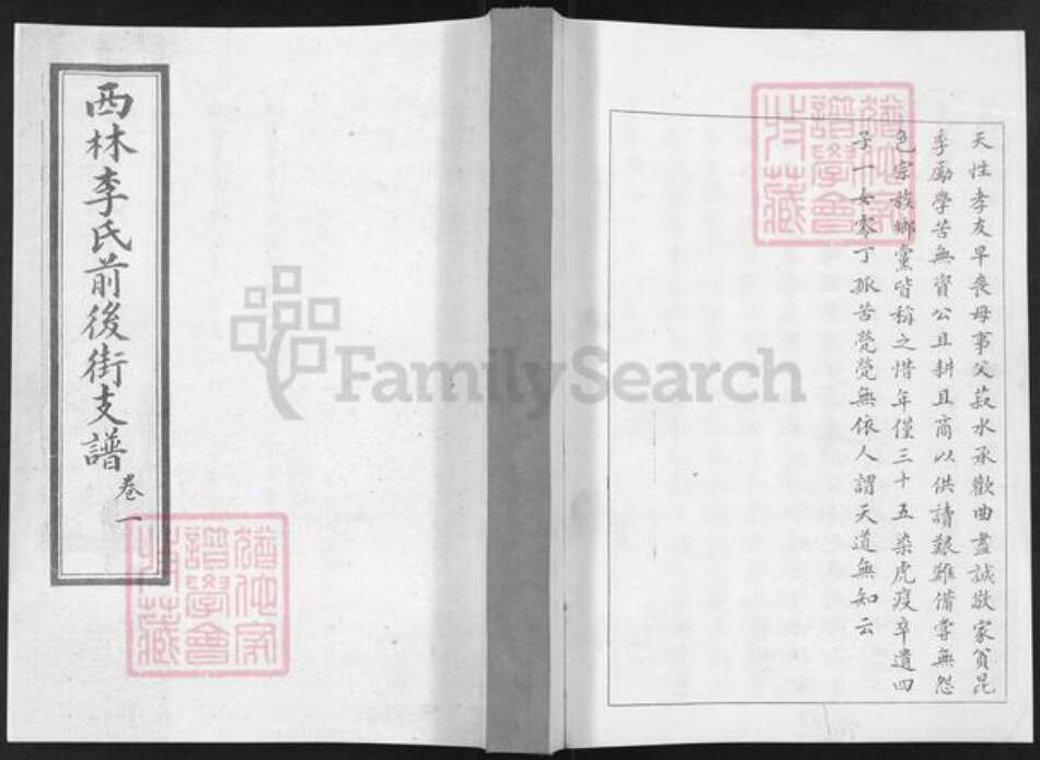 山东省烟台市栖霞市李氏族谱-西林李氏前后街支谱.pdf电子版缩略图