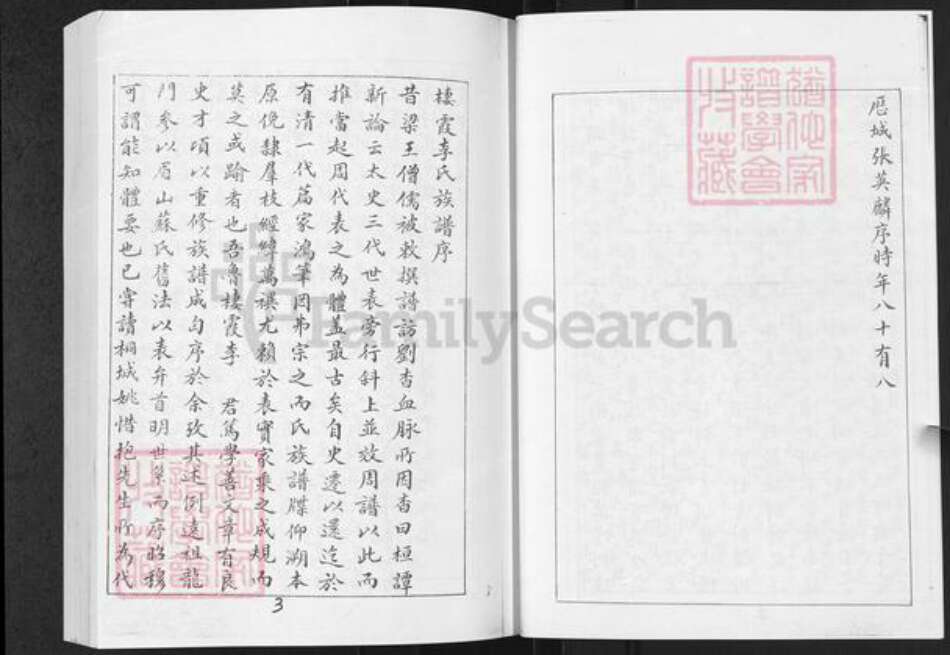 山东省烟台市栖霞市李氏族谱-西林李氏前后街支谱.pdf电子版预览图4