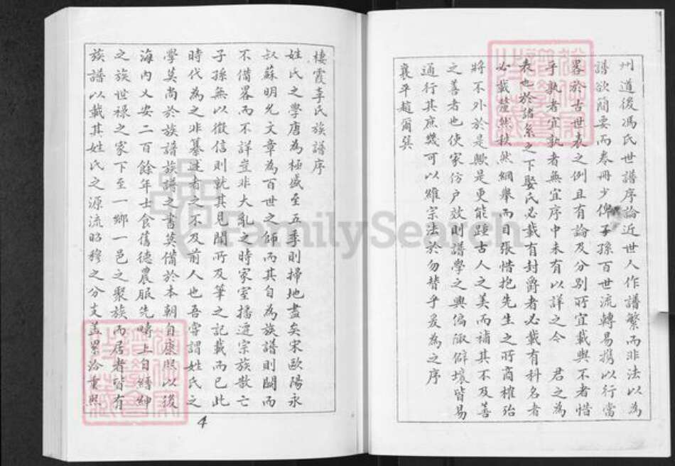 山东省烟台市栖霞市李氏族谱-西林李氏前后街支谱.pdf电子版预览图5