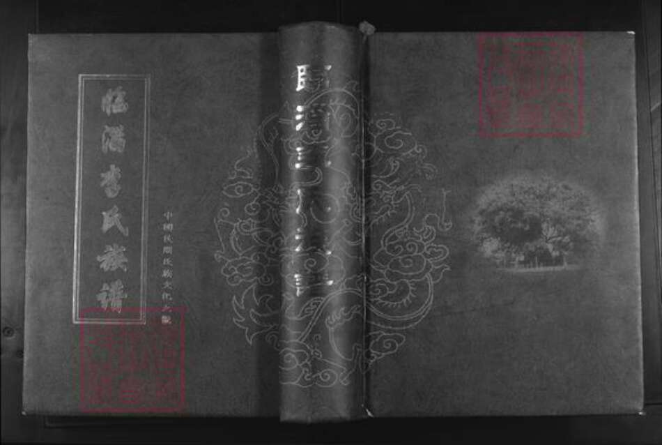 山东省淄博市临淄区李氏陇西堂族谱-临淄李氏族谱.pdf电子版缩略图