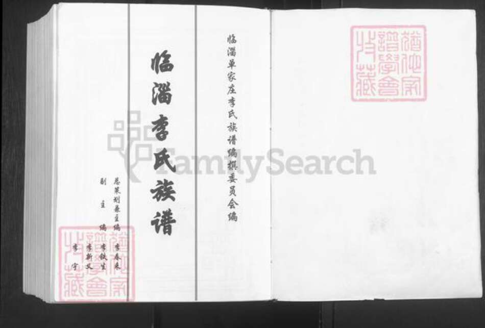 山东省淄博市临淄区李氏陇西堂族谱-临淄李氏族谱.pdf电子版预览图2