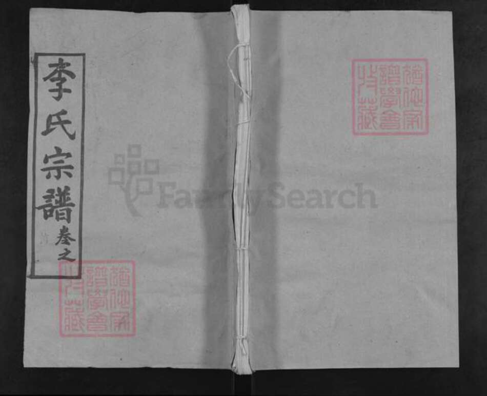 湖北省武汉市新洲区李氏务本堂族谱-李氏宗谱.pdf电子版缩略图