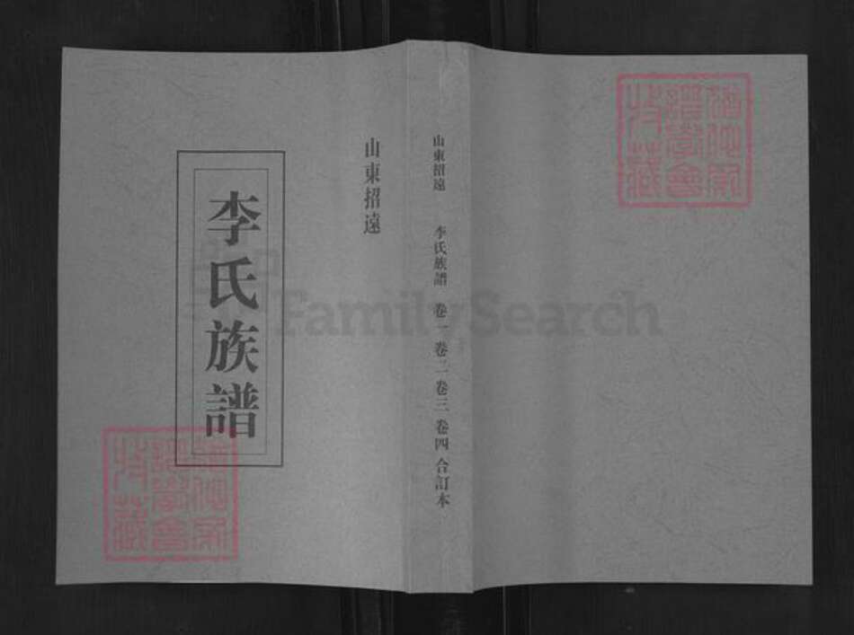 山东省烟台市招远市玲珑镇李氏族谱-山东招远李氏族谱.pdf电子版缩略图