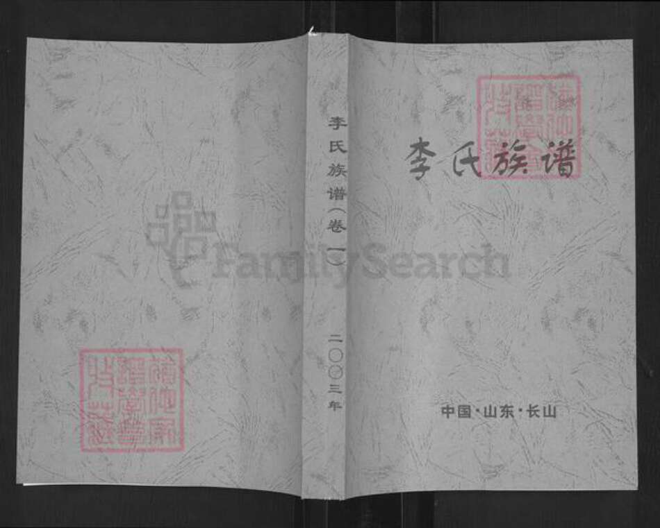 山东省滨州市邹平市长山镇李氏族谱-李氏族谱.pdf电子版缩略图