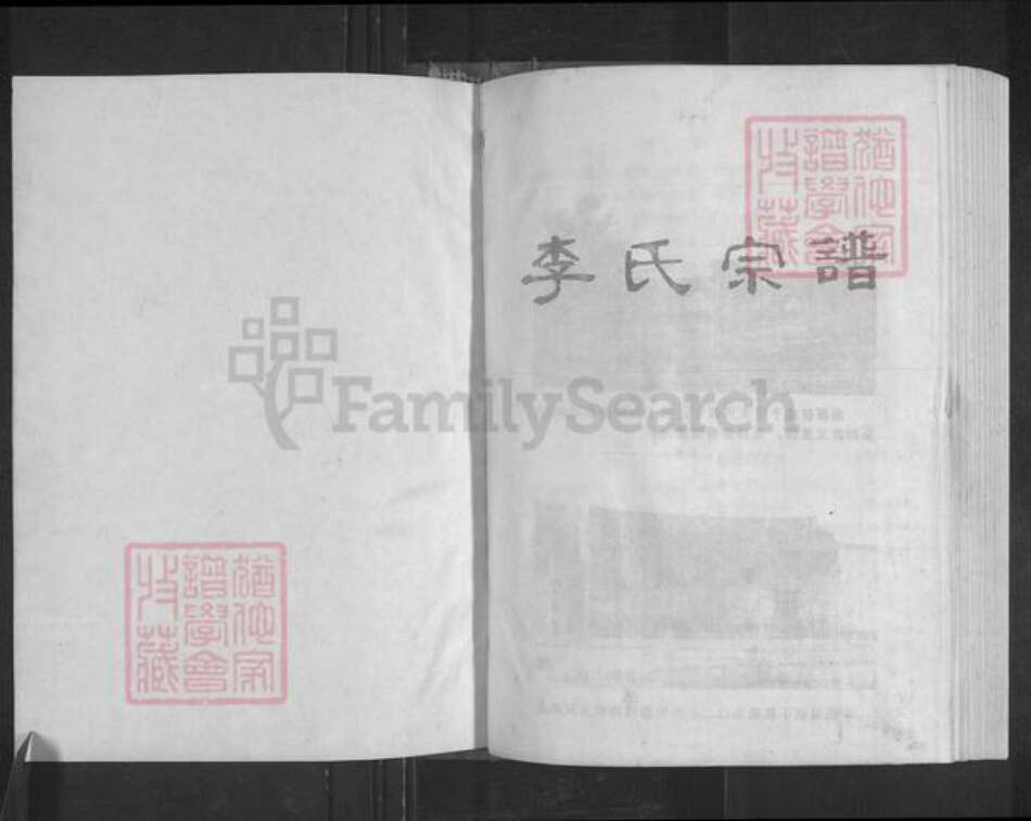 湖南省衡阳市常宁市宜阳街道李氏族谱-曲潭李氏宗谱.pdf电子版预览图1