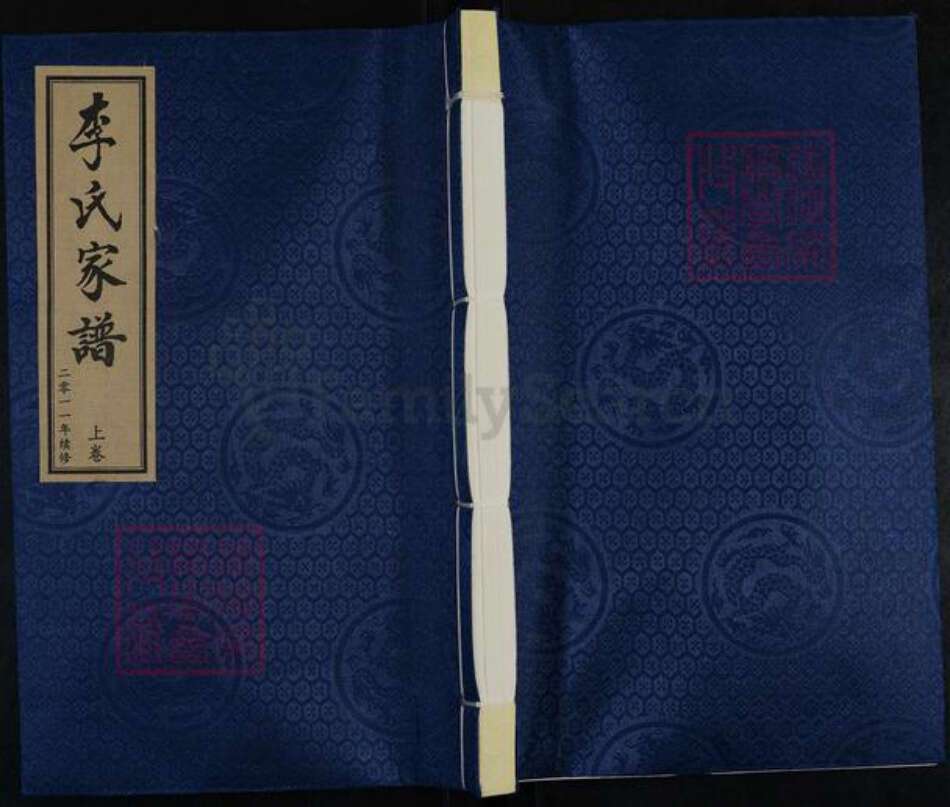 河北省沧州沧县李氏族谱-李氏家谱.pdf电子版缩略图