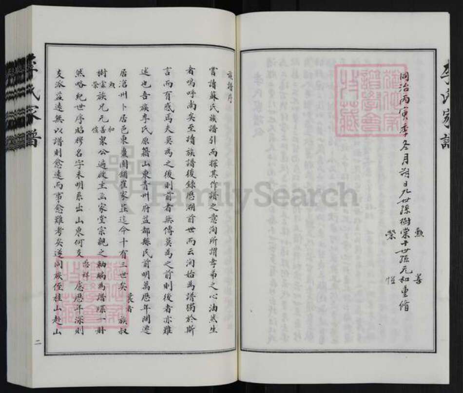 河北省沧州沧县李氏族谱-李氏家谱.pdf电子版预览图4