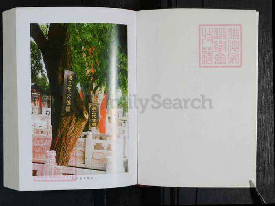 河南省郑州市登封市东华镇李氏族谱-寺庄李氏家谱.pdf电子版预览图2