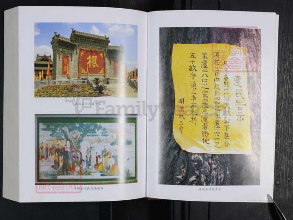 河南省郑州市登封市东华镇李氏族谱-寺庄李氏家谱.pdf电子版预览图3