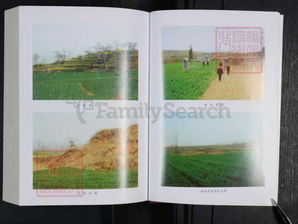 河南省郑州市登封市东华镇李氏族谱-寺庄李氏家谱.pdf电子版预览图5