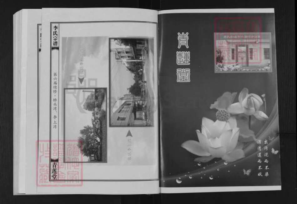 湖北省武汉市新洲区李氏青莲堂族谱-李氏宗谱.pdf电子版预览图2