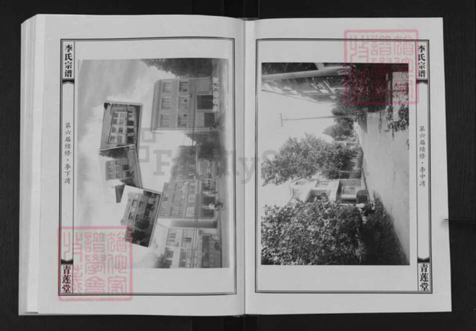 湖北省武汉市新洲区李氏青莲堂族谱-李氏宗谱.pdf电子版预览图3