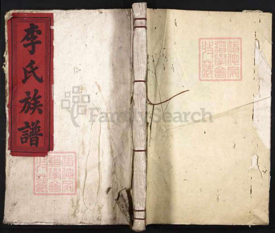 江西省赣州市信丰县李氏崇德堂族谱-赣信李氏四修族谱.pdf电子版缩略图