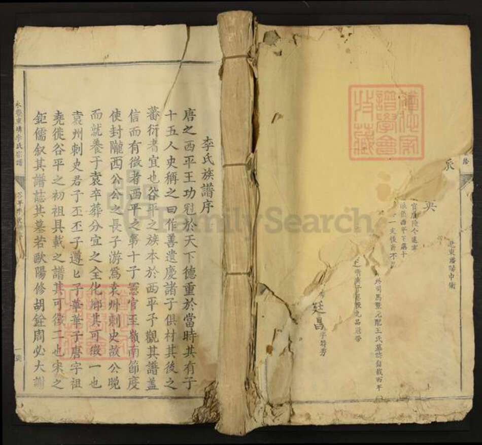 江西省吉安市永丰县李氏族谱-永丰东(土非)李氏宗谱.pdf电子版缩略图